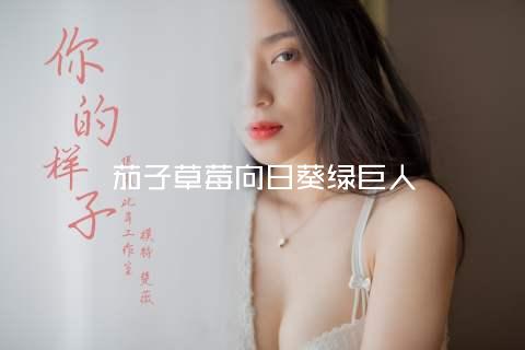 茄子草莓向日葵绿巨人